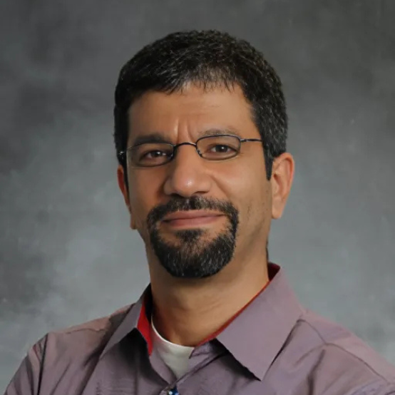 Walid A. Salah